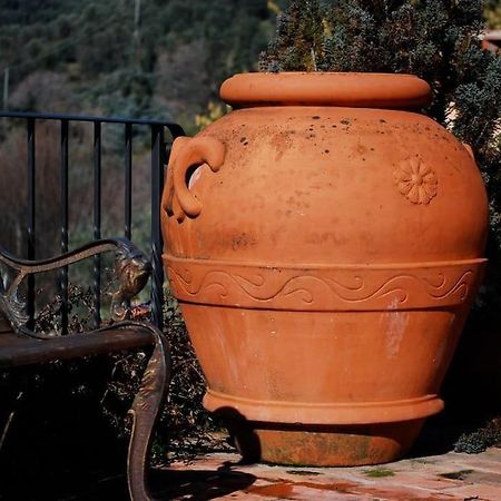 Conca Di Sopra Home Corsanico-Bargecchia Екстериор снимка