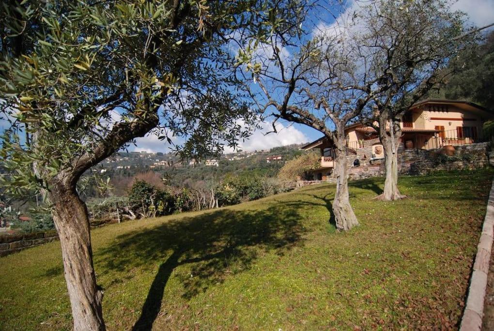 Conca Di Sopra Home Corsanico-Bargecchia Екстериор снимка