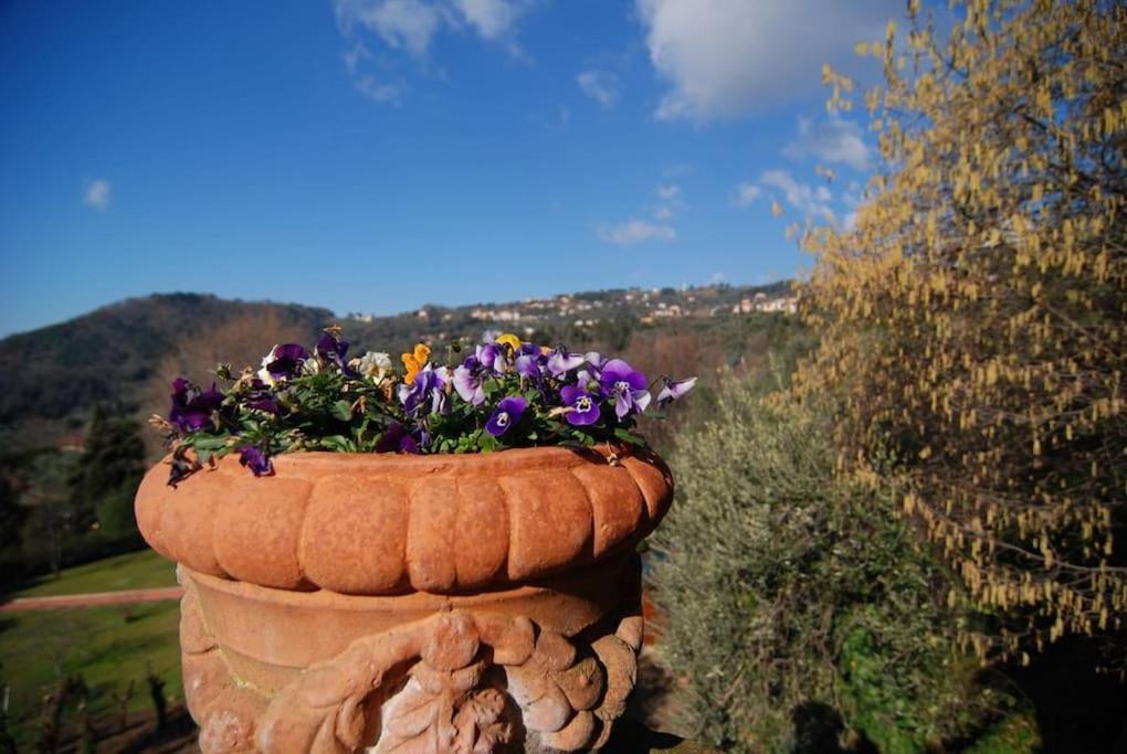 Conca Di Sopra Home Corsanico-Bargecchia Екстериор снимка
